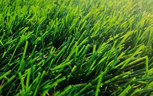 Artificial Grass Tufting Machine